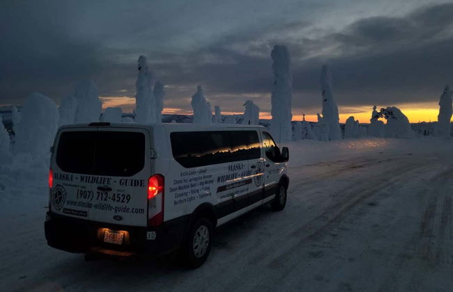 Tour dell'aurora boreale e attraversamento del Circolo Polare Artico - Foto 5