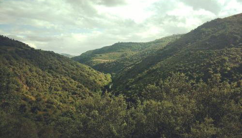 Casa de Pimenteis - Foto 3