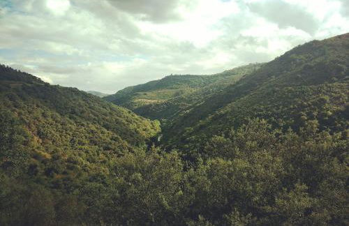 Casa de Pimenteis - Foto 3