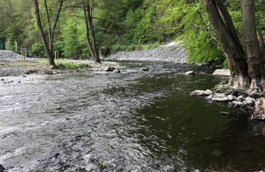 Pension Waldfrieden - Foto 31