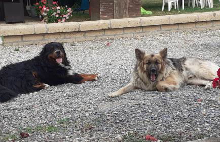 Casa Vacanze La Farfalla di Vittori Fabiola - Foto 24