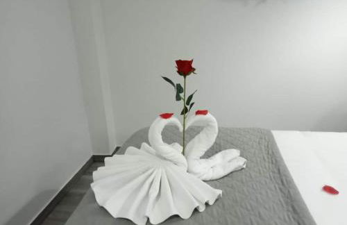 O Salgueiro - Foto 1