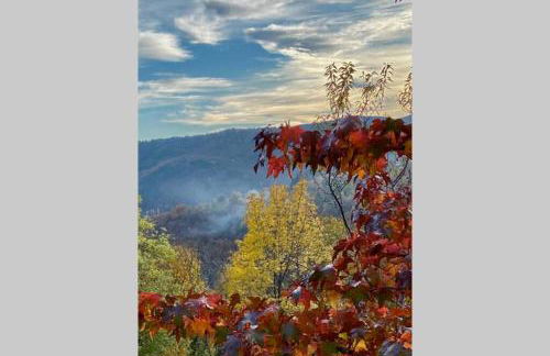 La Pellegrine, Parc national des Cévennes - Foto 46