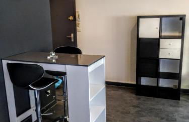 ZEN T1, 400m centre et lycée Bayen, 1400m gare tout confort - Foto 7