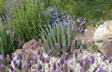 Finca Las Morenas - Foto 53