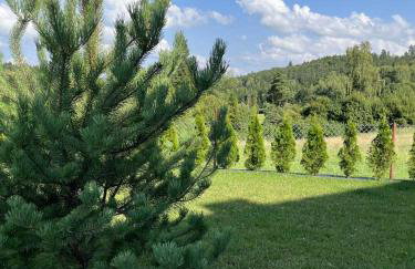 Agroturystyka Nad Lasem - Domki w górach - Foto 21