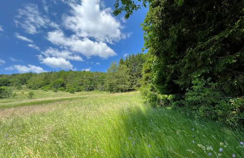 Chalet entier, vue panoramique, ruisseau et sauna. - Foto 27
