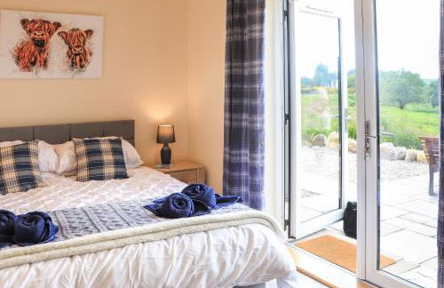 Pine Marten - Foto 24