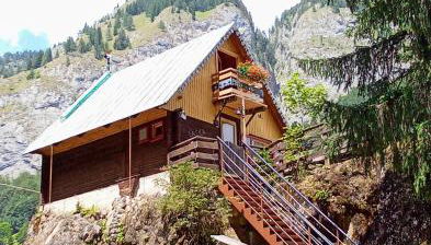 Il nido (Cica) - Foto 2