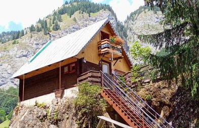 Il nido (Cica) - Foto 2