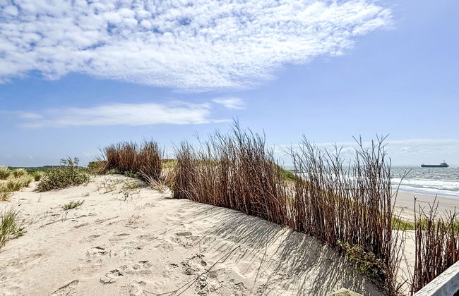 2 bedroom House in Schoondijke with garden and terrace - Photo 14