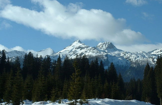 Apartments Arh - Foto 32