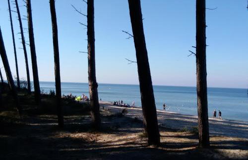 Mielno Holiday Apartament 401 typu studio - Foto 66