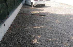 L'oiseau bleu - Foto 50