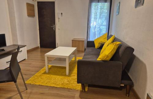 APT 2 Acollidor al Centre històric de Vic APTGARBI - Foto 13