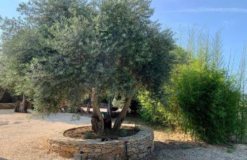 Maison Pipette Pipette Maison - Foto 27