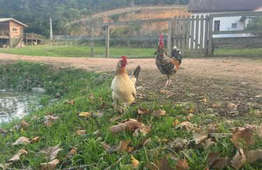 Cabana Bariloche - Busch Camping - Photo 51