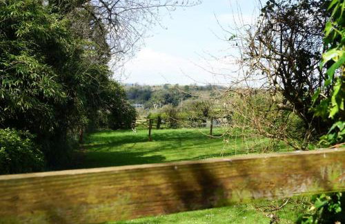 South Devon - River Dart Views - Free Parking - Pet Friendly - Photo 24