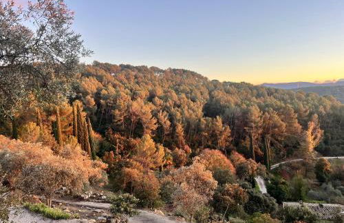 Aix-en-Provence, Bastidon provençal plein cœur de la forêt avec vue unique - Foto 25