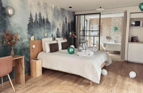 Madame Imagine, Lodges & SPA Epinal - Foto 25