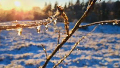Ferienwohnung Heide View - Foto 5