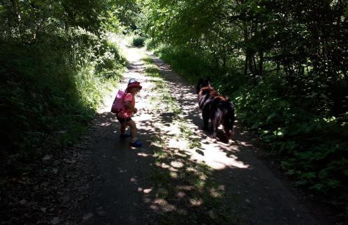 Łabądkowo - Foto 19