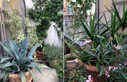 The Jasmine Terrace Retreat - Photo 49