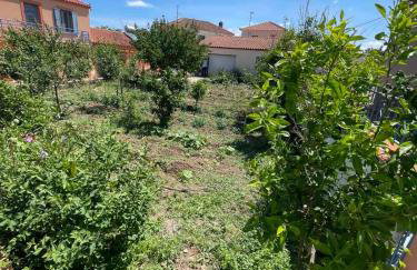 Maronia - Foto 5