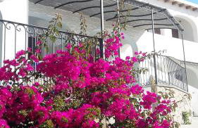 Oltremare Residence Hotel - Foto 47