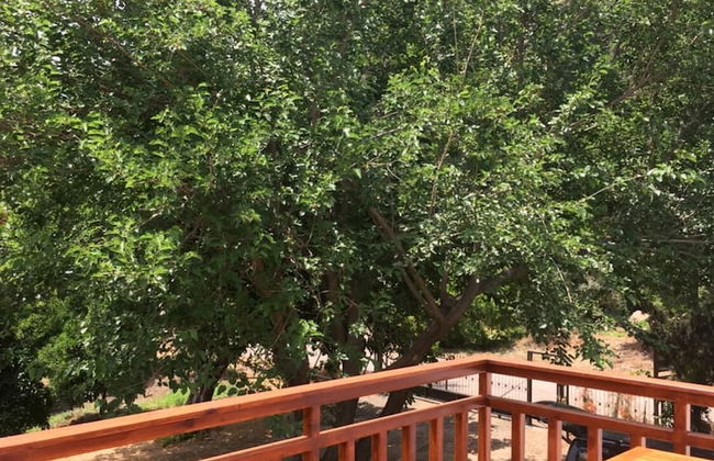 Villa Bilge - Foto 25