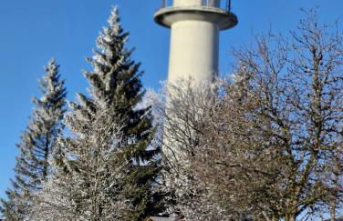 Ferienwohnung Am Blessberg in Stelzen - Foto 4