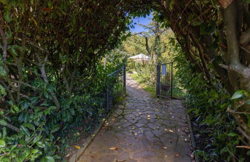 Chianti Villa Chicco, piscina privata, ampio giardino, BBQ e parcheggio - Foto 49