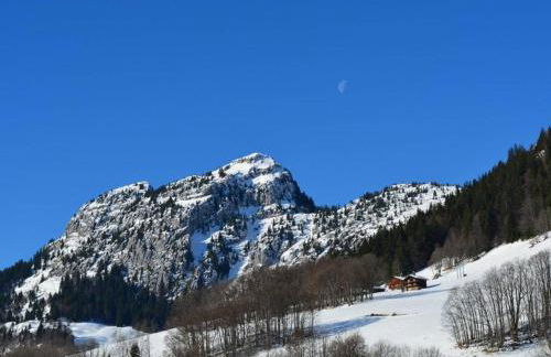 Studio cabine 4 pers. au pied des pistes avec balcon sud - Le Grand-Bornand - FR-1-241-123 - Foto 18