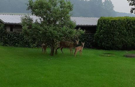 Ferienwohnung I Raup - Foto 31