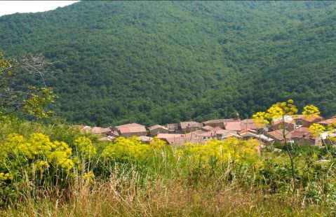 Casa Dulcinea en Brañosera - Foto 38