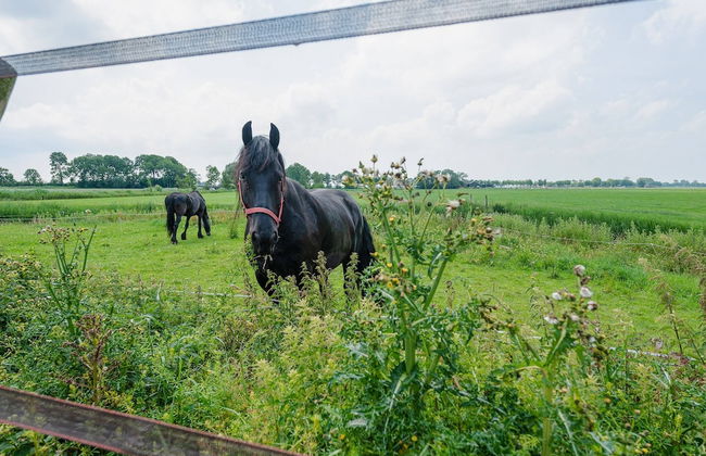 Farmhouse by Lauwers River With Rowing Boat - Foto 40