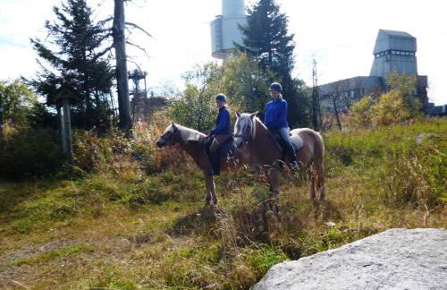 Ferienwohnung Hopfennest - Foto 16