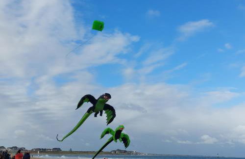 Le colibri - Photo 32