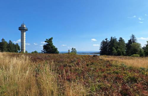 Ferienhaus 1000 Berge Winterberg Kamin & Whirlpool - Foto 41