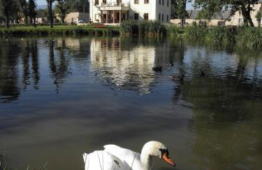 Pałac na Wodzie Hotel & SPA - Foto 38