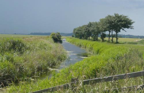 Cottage in Brookland Near Romney Marsh - Photo 33