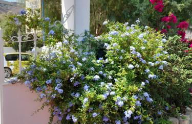 Lilo's Apartments - Foto 22