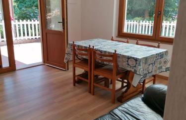 Le camelie - Foto 10