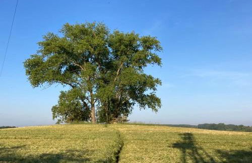 Gemütliche FeWo mit Balkon nahe der Ostsee - 2 Schlafzimmer - Foto 46