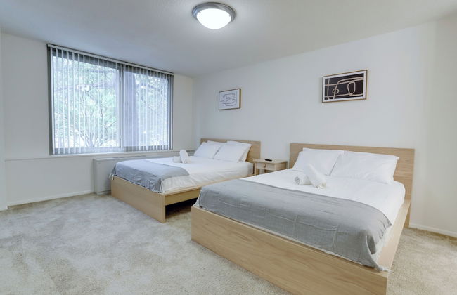 Apt Near Airport in Crystal City - Photo 5