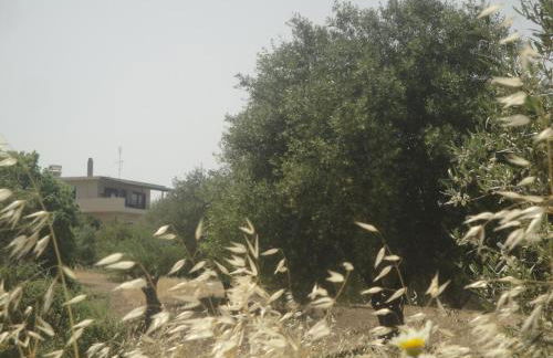 Stan&Family - Foto 66