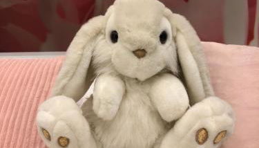 Pan Pan Le Lapin Aubagne-Cassis-Aix en Provence - Foto 5