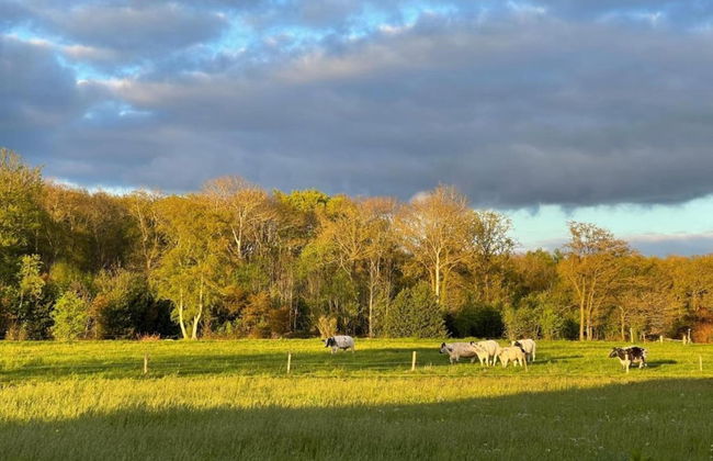 Bungalow in Sondel Near Slotermeer Lake - Foto 33