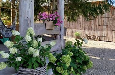 Dom Wakacyjny Brzozowy Gaj Bieszczady - Foto 67