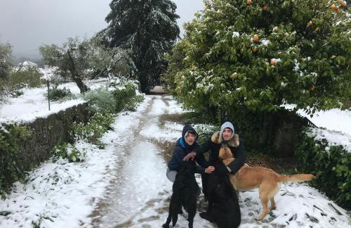 Quinta da Porta - Solar de Vale de Prazeres - Foto 40